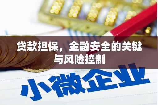 周口贷款担保，金融安全的关键与风险控制