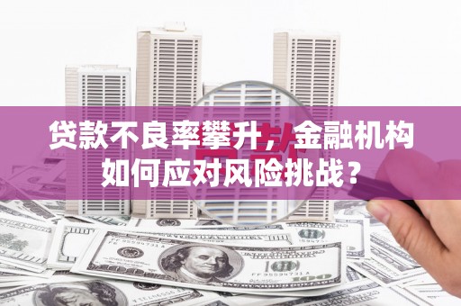 周口贷款不良率攀升，金融机构如何应对风险挑战？