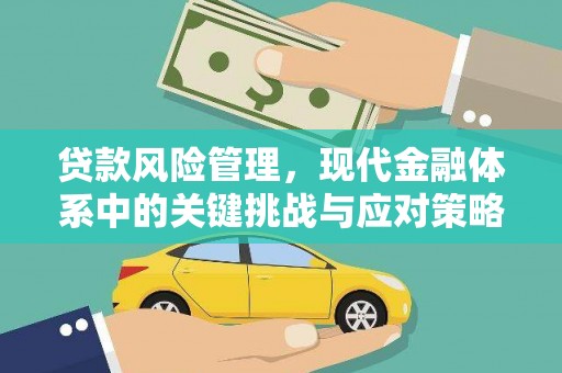 周口贷款风险管理，现代金融体系中的关键挑战与应对策略
