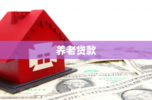 周口养老贷款