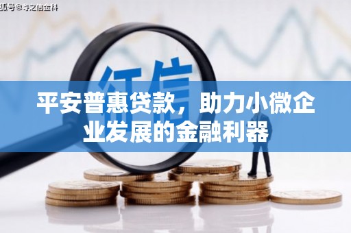 周口平安普惠贷款，助力小微企业发展的金融利器