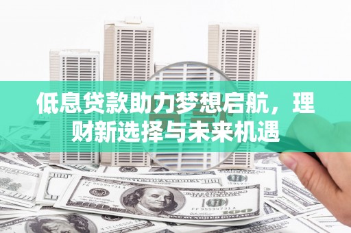周口低息贷款助力梦想启航，理财新选择与未来机遇
