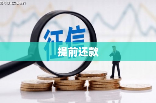 周口提前还款