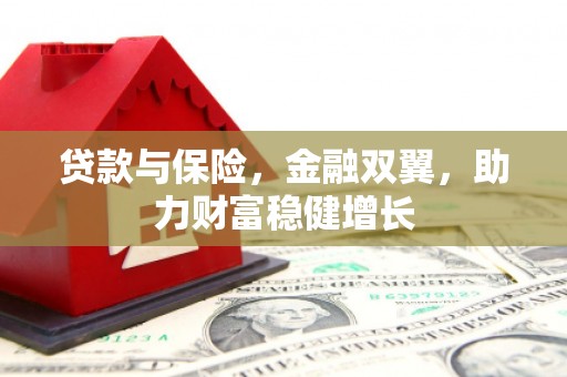 周口贷款与保险，金融双翼，助力财富稳健增长