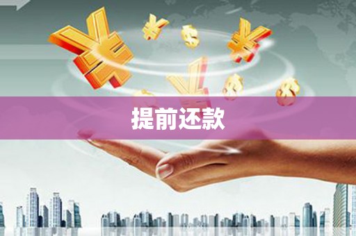周口提前还款