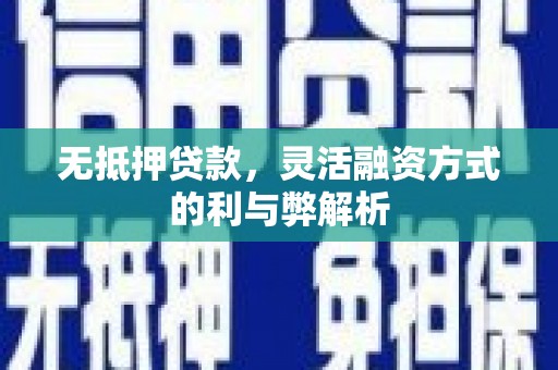 周口无抵押贷款，灵活融资方式的利与弊解析