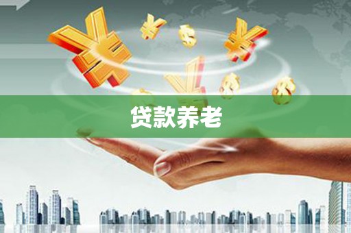 周口贷款养老