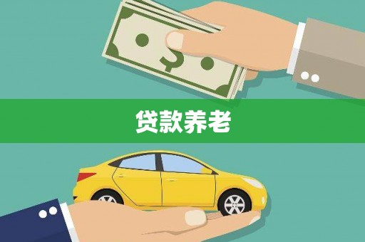 周口贷款养老