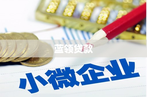 周口蓝领贷款