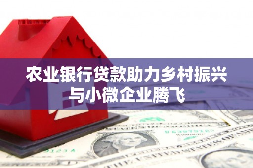 周口农业银行贷款助力乡村振兴与小微企业腾飞