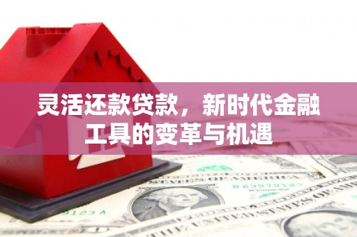 周口灵活还款贷款，新时代金融工具的变革与机遇