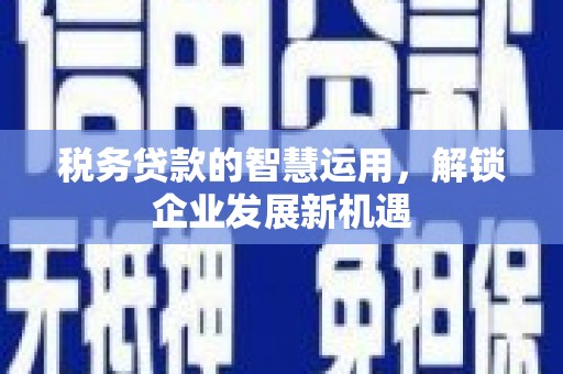 周口税务贷款的智慧运用，解锁企业发展新机遇