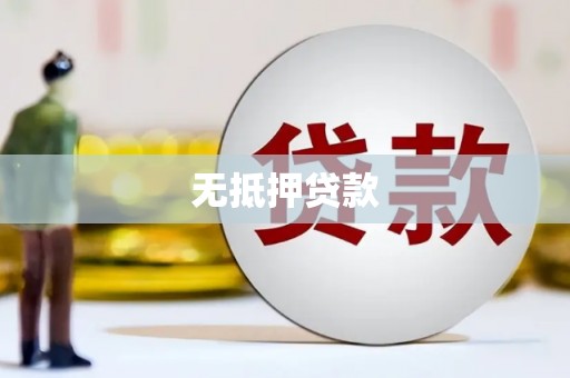 周口无抵押贷款