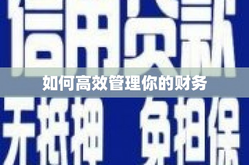 周口如何高效管理你的财务