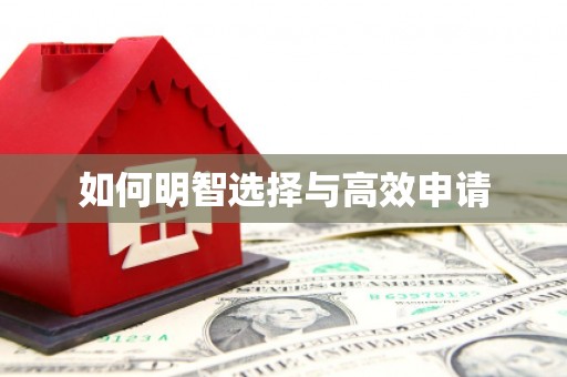 周口如何明智选择与高效申请