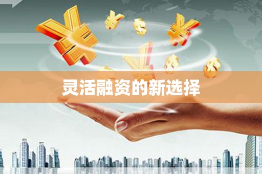 周口灵活融资的新选择