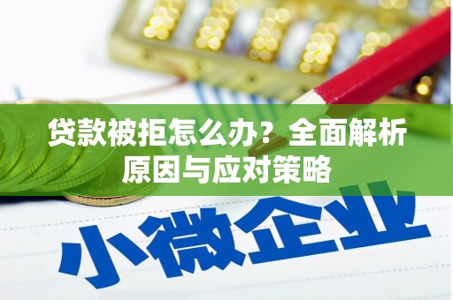 周口贷款被拒怎么办？全面解析原因与应对策略
