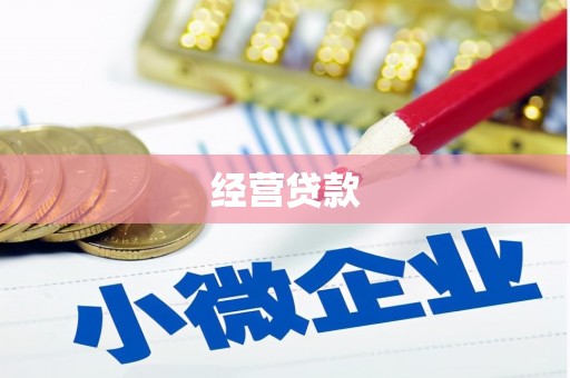 周口经营贷款