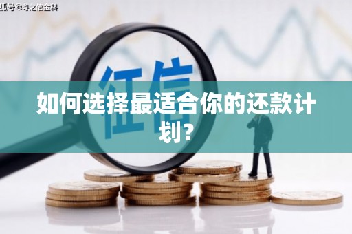 周口如何选择最适合你的还款计划？