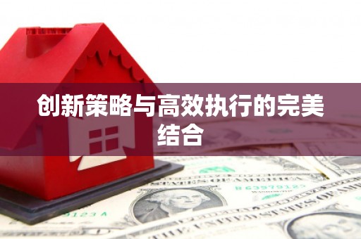 周口创新策略与高效执行的完美结合